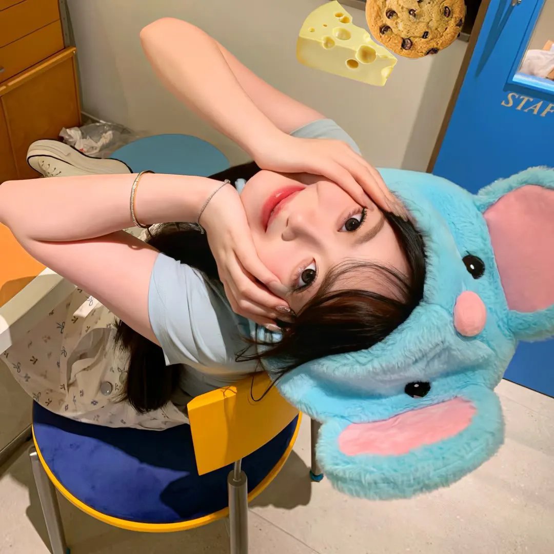 老鼠玛戈